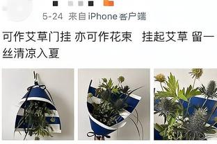 大连人宣布解散！上赛季降级的无锡吴钩获得中甲的优先递补资格