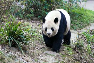 梅努全场数据：10次赢得地面对抗，8次成功抢断，2次成功过人